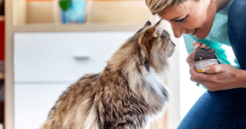 Nutrition Tips for Your Feline Friend