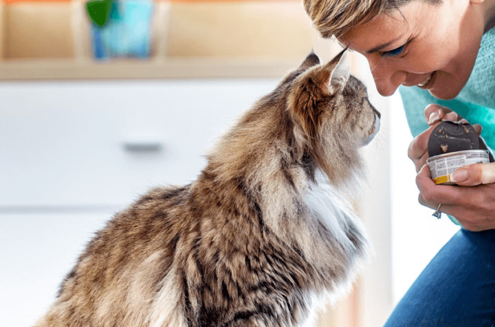 Nutrition Tips for Your Feline Friend